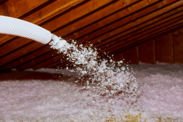 Professional Insulation Contractor in Westlake Village, IL