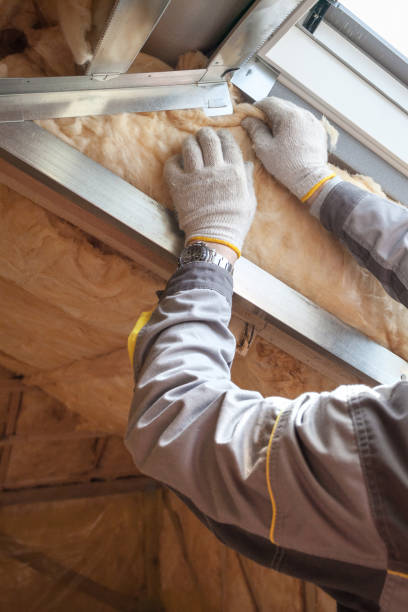 Types of Insulation We Offer in Westlake Village, IL