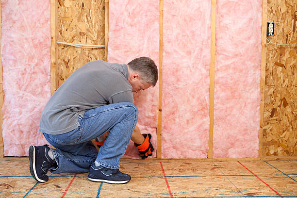Best Spray Foam Insulation in Westlake Vlage, IL